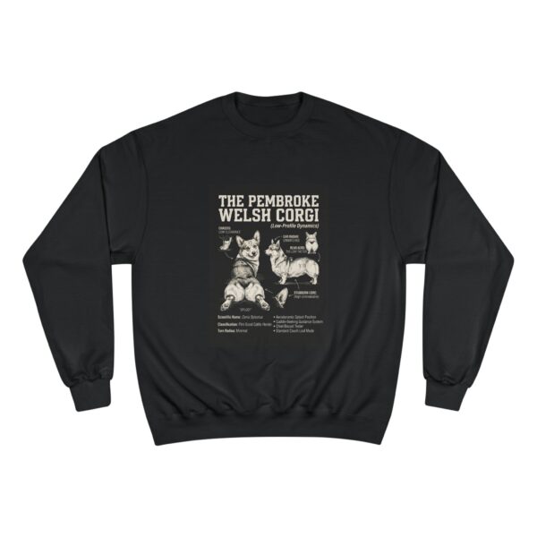 10190402003542464647_2048.jpeg Champion Sweatshirt