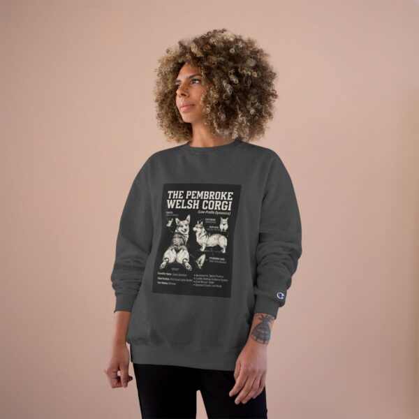 2713451310443160865_2048.jpeg Champion Sweatshirt
