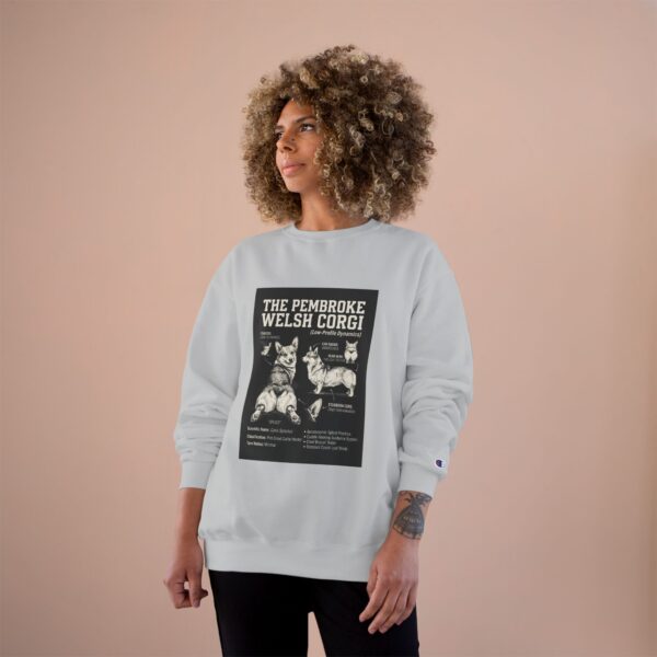 3622417738678352299_2048.jpeg Champion Sweatshirt