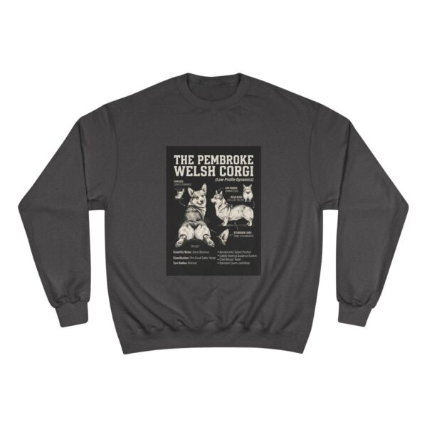 4180200923701639510_2048.jpeg Champion Sweatshirt