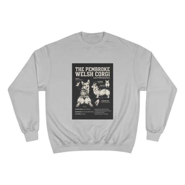 4370561365816280965_2048.jpeg Champion Sweatshirt